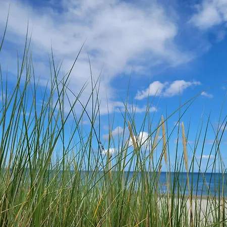 Ferienhaus In Breege *