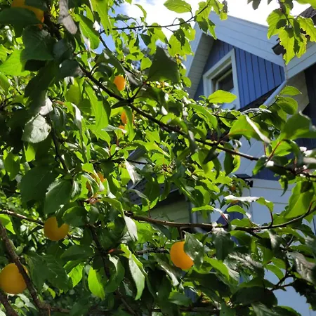 Juliusruh Semesterbostad