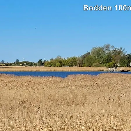 בית נופש Strandhaus Bernstein In ברייגה