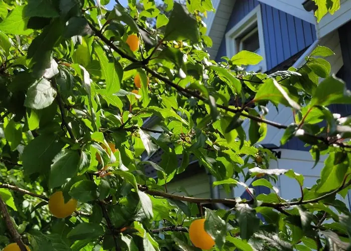 Ferienhaus In Breege Casa vacanze